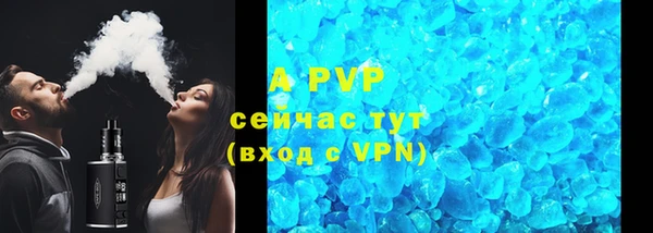 шишки Болохово