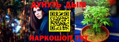 шишки Гусь-Хрустальный