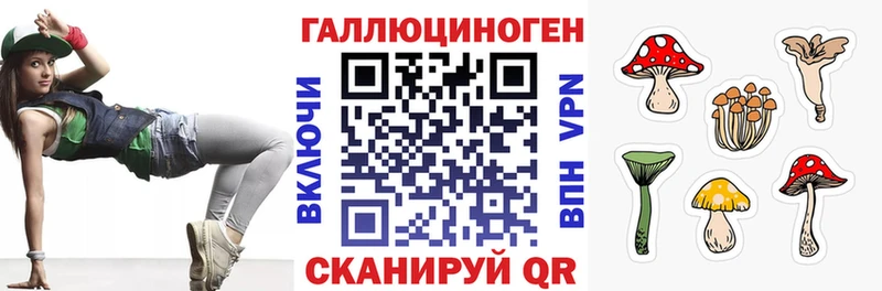 дарнет шоп  Корсаков  Галлюциногенные грибы мухоморы 