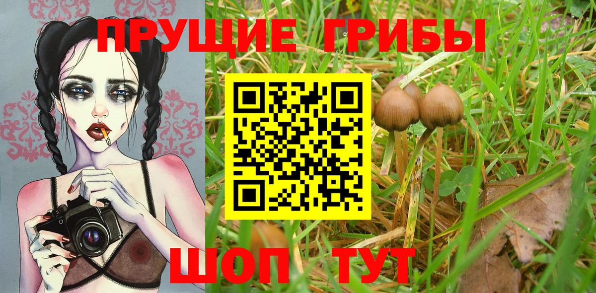 Галлюциногенные грибы Cubensis Корсаков