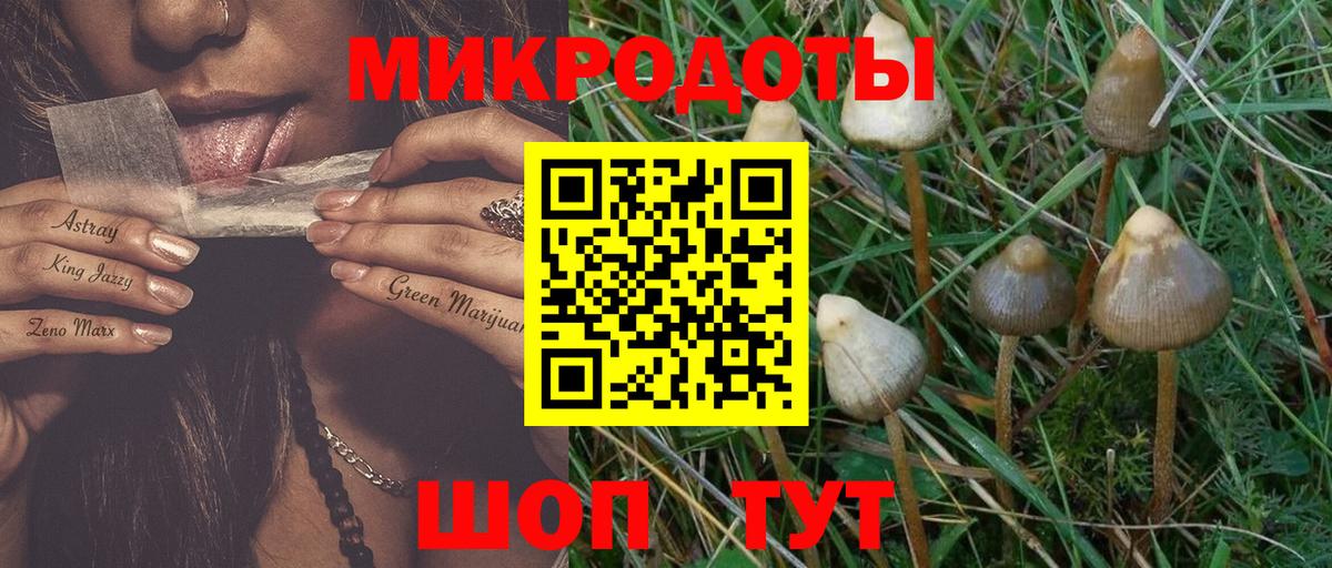Псилоцибиновые грибы Psilocybe  Вход с VPN  Галлюциногенные грибы MAGIC MUSHROOMS  Корсаков 